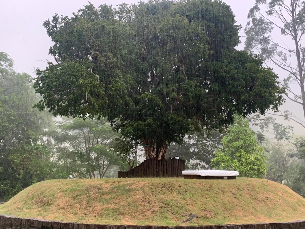 Maritacas Do 賓館 Sana